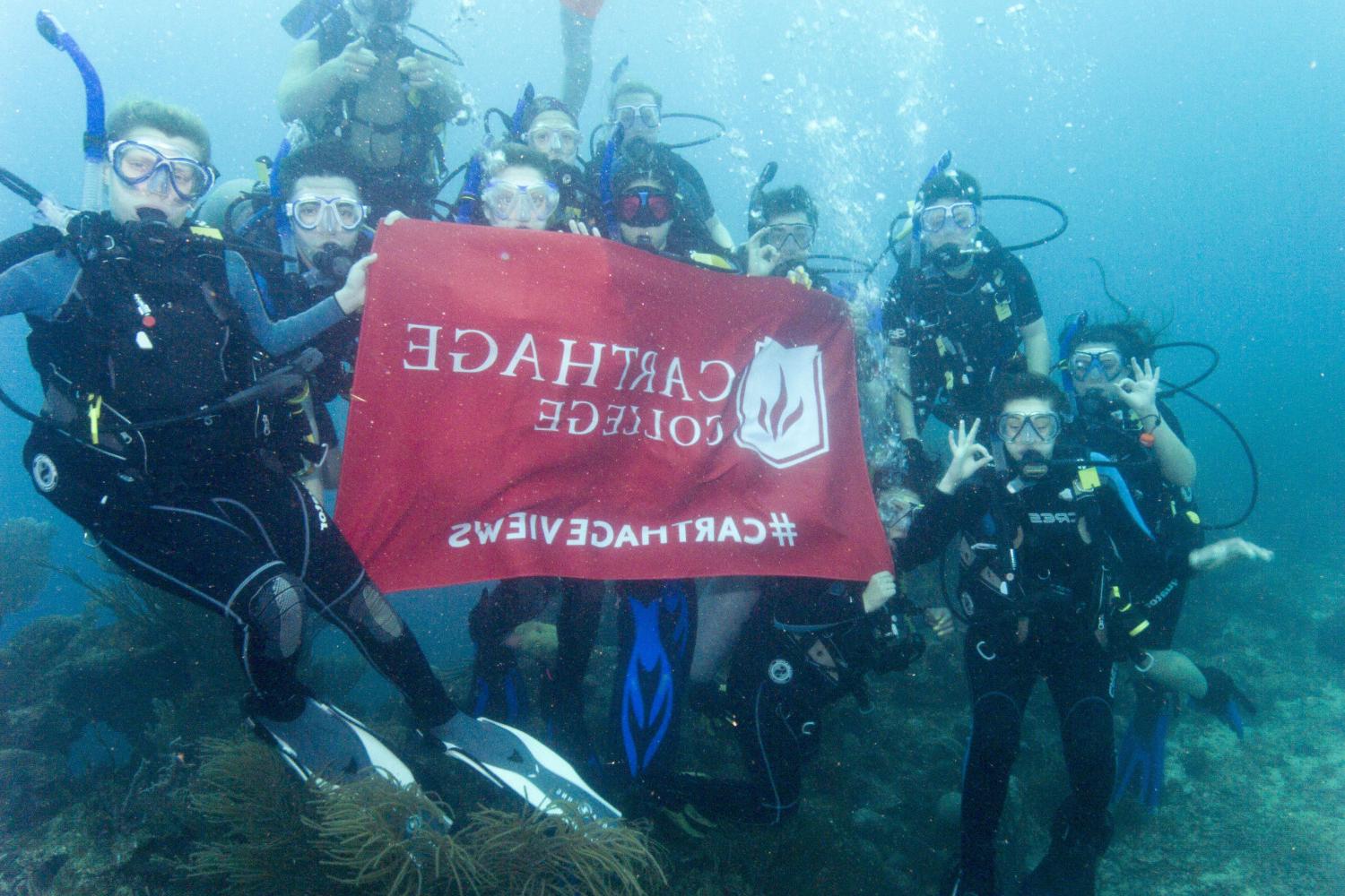 学生们手持<a href='http://zmim.ngskmc-eis.net'>博彩网址大全</a>旗帜，在j学期洪都拉斯游学之旅中潜水.